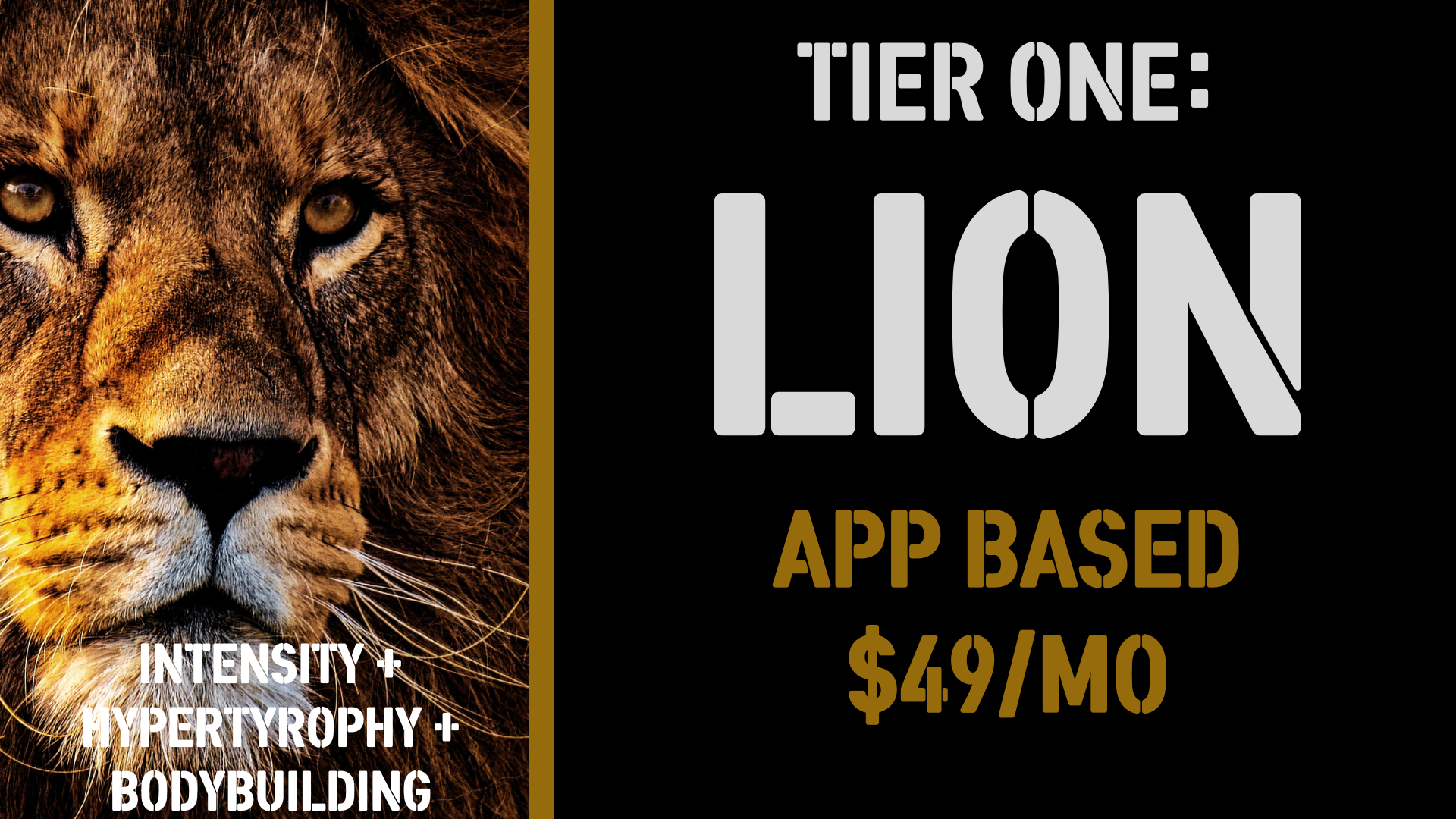 lion